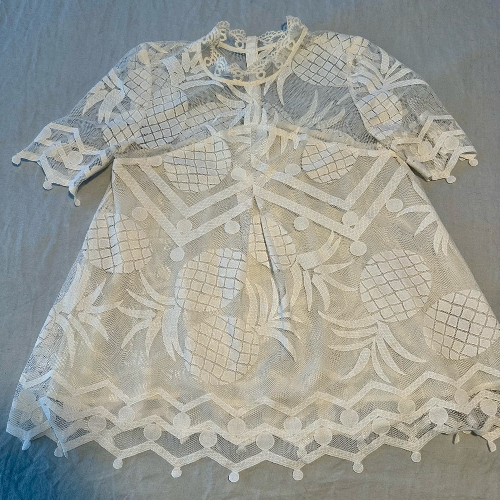 HD in Paris for Anthropologie Cream Lace Pineapple Shirt